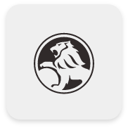 Holden icon